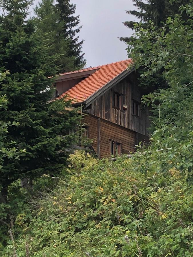 Haus Hanna Wolfsberg Bagian luar foto